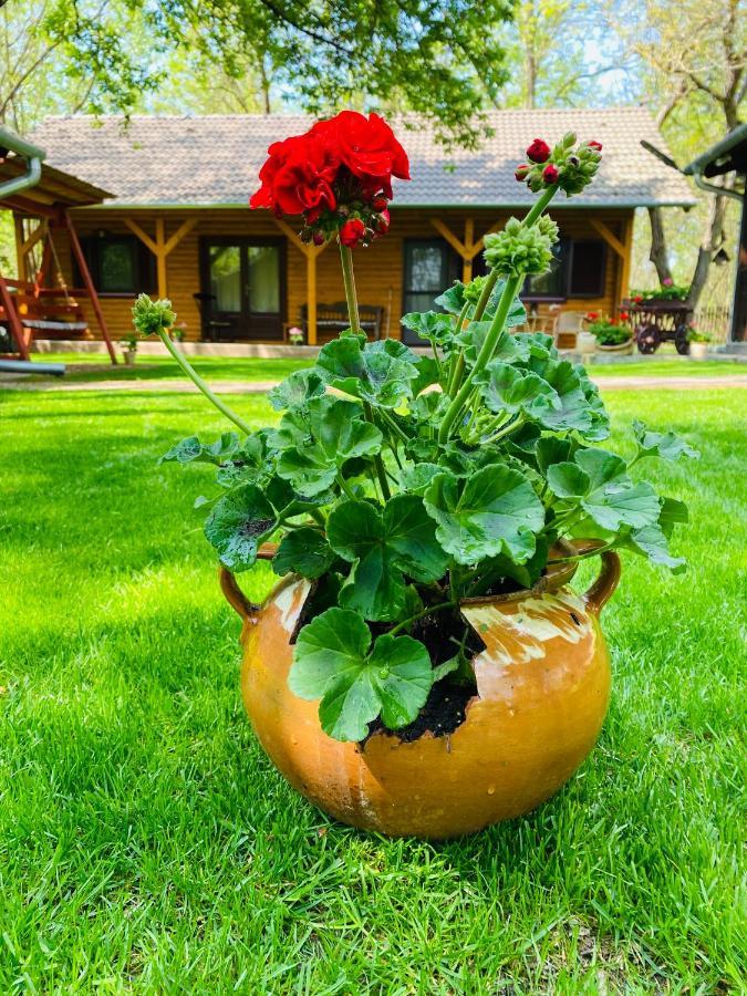 Vandor Tanya Holiday home Agasegyhaza